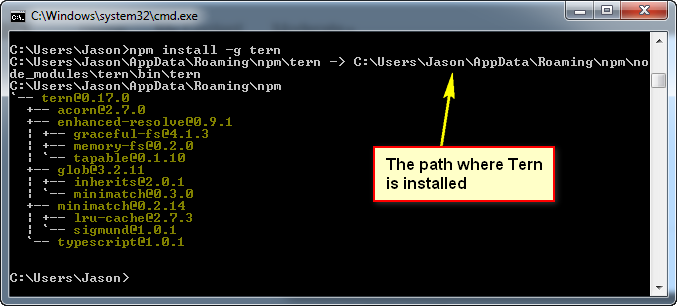 shows tern install path